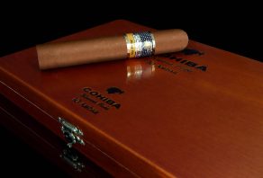 Cohiba Ambar now available